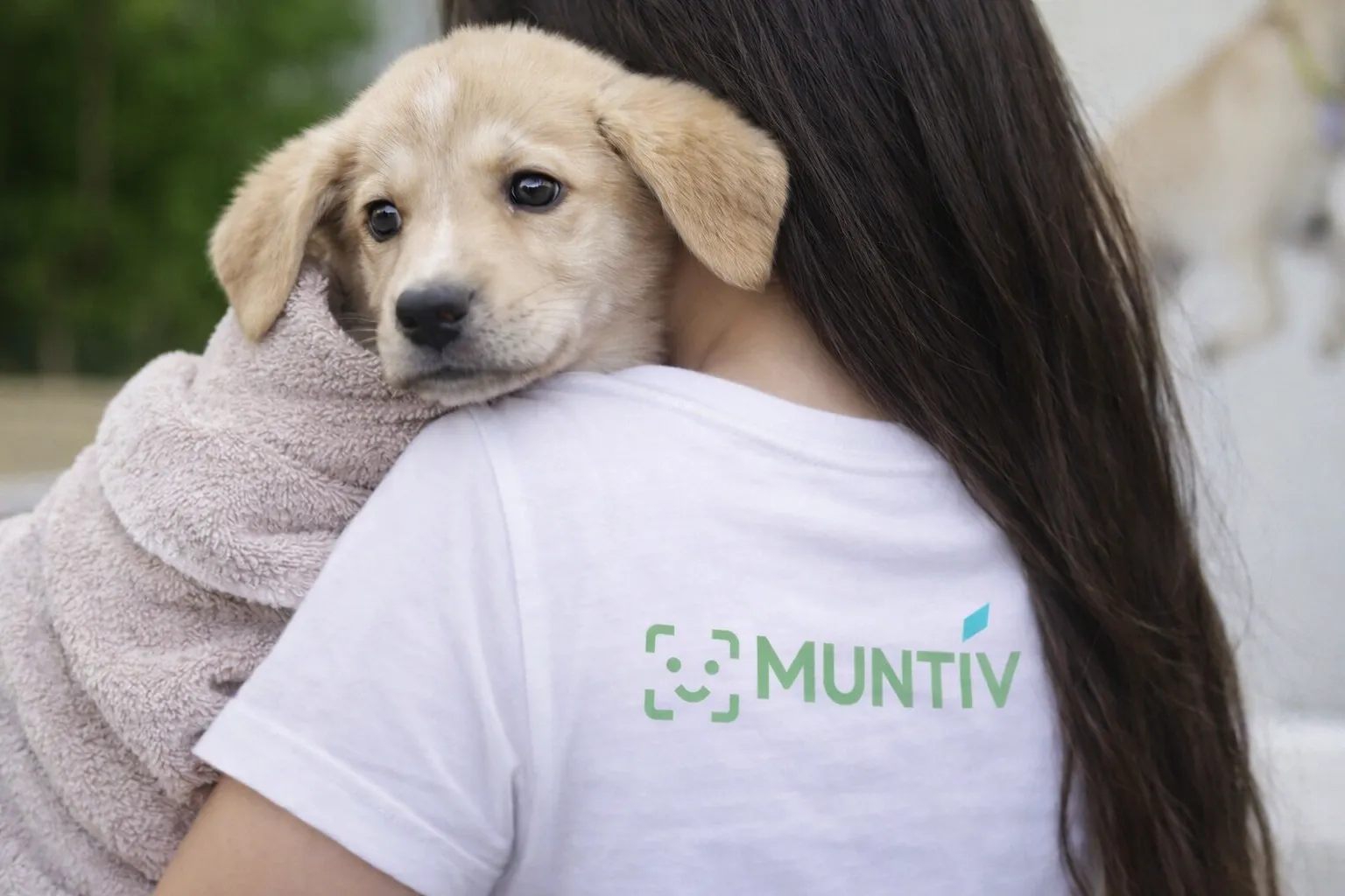 A rescue worker in a Muntiv shirt holding a small puppy — a moment of care